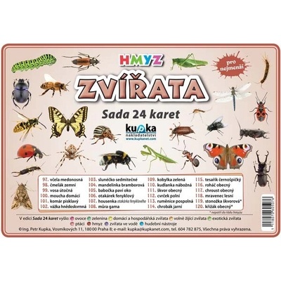 Sada 24 karet - Zvířata - Hmyz A5