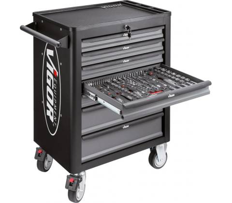 VIGOR V4560