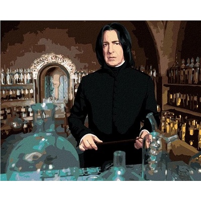 zuty Malování Podle Čísel Severus Snape V Učebně Lektvarů Harry Potter 40 x 50 Cm Plátno Rám