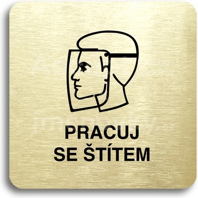ACCEPT Piktogram pracuj se štítem II - zlatá tabulka - černý tisk bez rámečku