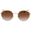 Ray-Ban RB3681 001 13