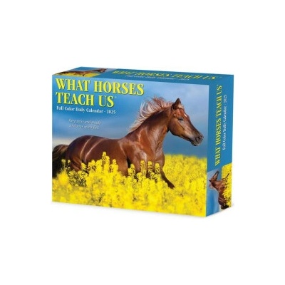 What Horses Teach Us 5.4 X 6.2 Box 2026