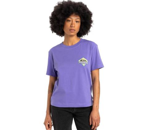 Quiksilver Standard