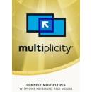 Multiplicity