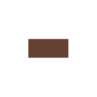 Anastasia Beverly Hills Gel na obočí (Tinted Brow Gel) 9 g Odstín: Chocolate