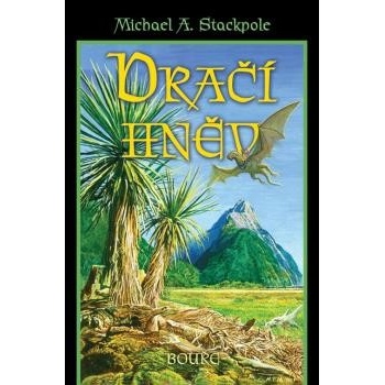 Dračí hněv Bouře - Michael A. Stackpole