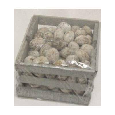 Amra Pod snow tip, box 600 gr