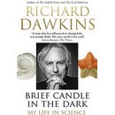 Brief Candle in the Dark