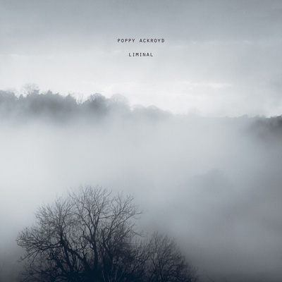 Poppy Ackroyd - Liminal (CD) (5016958110352)