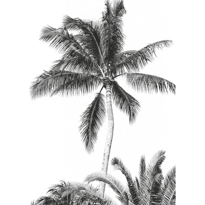 Komar Vliesová fototapeta Retro Palm rozměry 200 x 280 cm