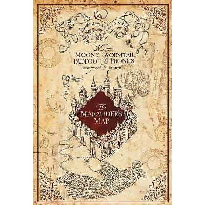 Plagát, Obraz - Harry Potter - Maurauder's Map, 61 × 91.5 cm
