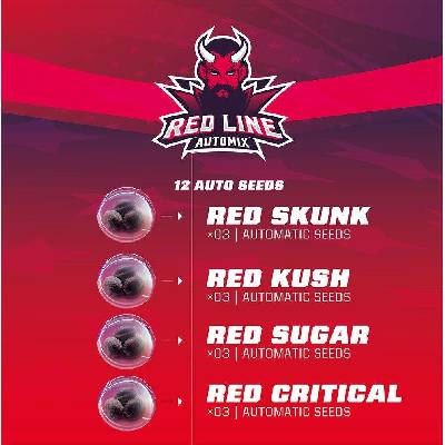 BSF Seeds Red Line Automix semena neobsahují THC 12 ks