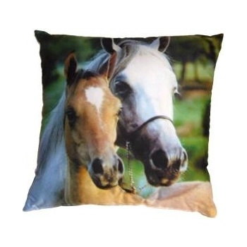 Dadka Fotovankúš Kone 40x40