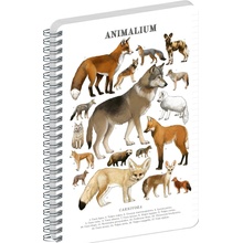 Notique špirálový blok Animalium Psovité šelmy linajkovaný A5 60 listov