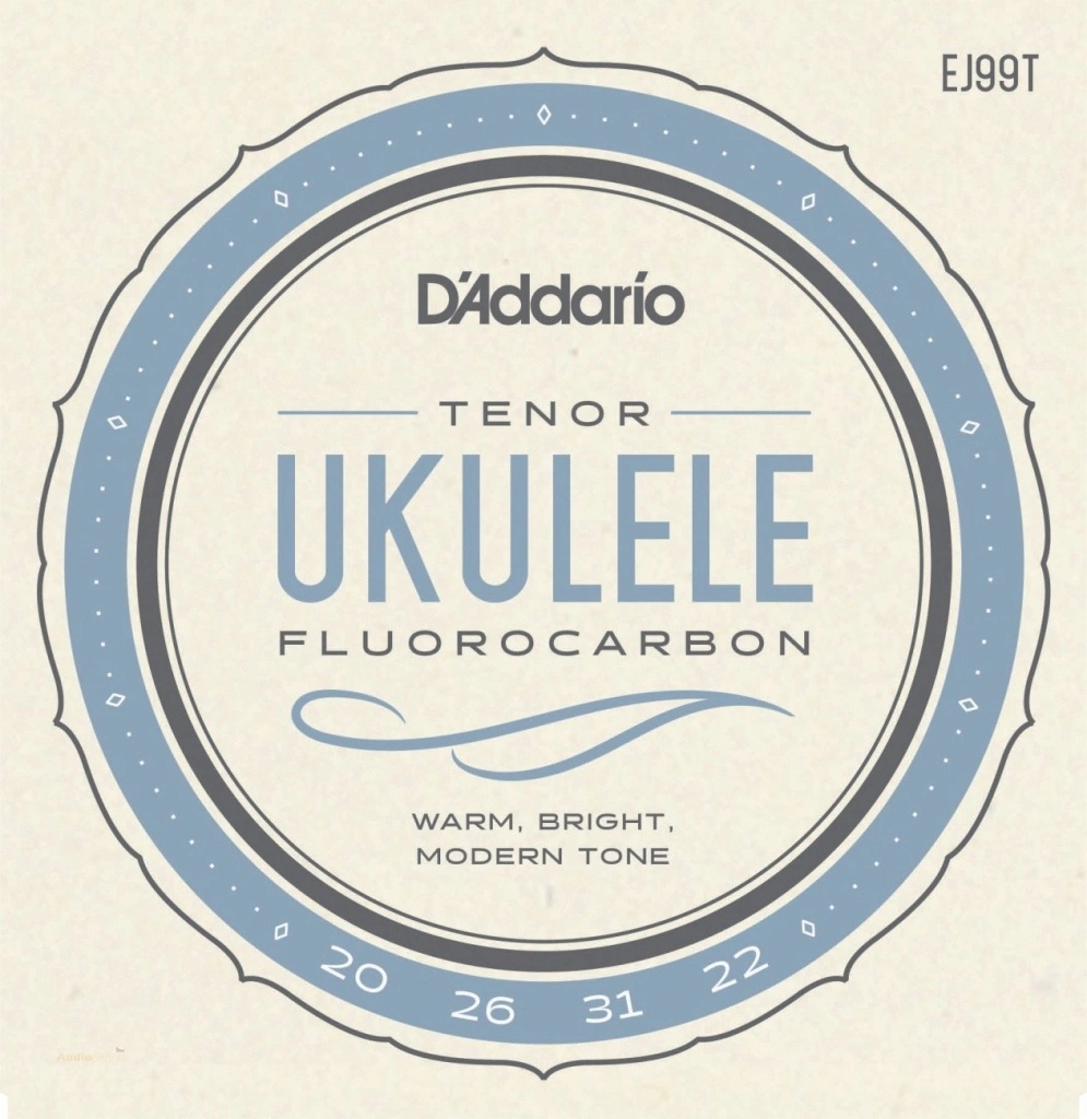 D'addario EJ99T