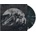 Spotlights - Tidals LP