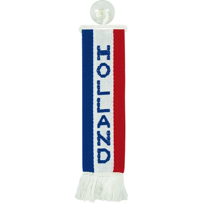 LAMPA Vlaječka s přísavkou do kamionu HOLLAND