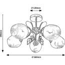 Image 1 of Rábalux Fauna 5099