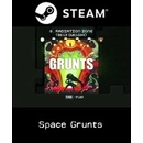 Space Grunts