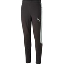 Puma Evostripe Pants