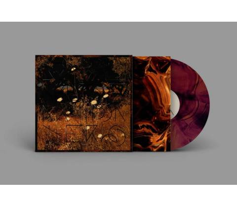 Szun Waves - EARTH PATTERNS Vinyl