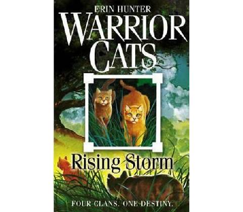 Rising Storm