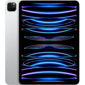 Apple iPad Pro 11 2022 2TB MNXN3 Таблет