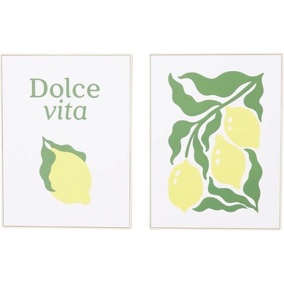 Boltze Obraz Vita různé druhy 40 x 30 cm, 1 ks
