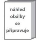 Úsvit temna - S. Pacat C.