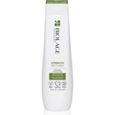 Matrix Biolage Strength Recovery Shampoo 250 ml