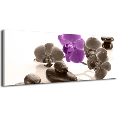 Kameny s orchideji harmonický obraz plátno 1 100x40