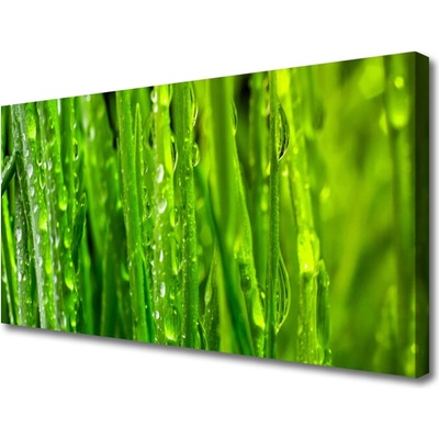 Obraz Canvas Tráva rastlina príroda 100x50 cm