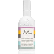 Waterclouds Repair Shampoo 250 ml