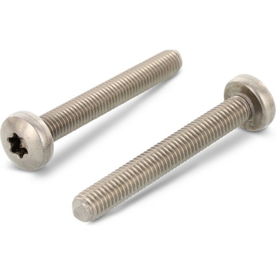 INOX ISO 14583 šroub s válcovou hlavou na TORX, nerez A4 Varianta: ISO 14583 šroub s válcovou hlavou na TORX, nerez A4 M10X100/100 TX50 celozávit – Zbozi.Blesk.cz