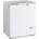 Tefcold FR 205 S SL