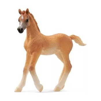 Schleich Horse Club: Фигурка на арабско жребче 13984