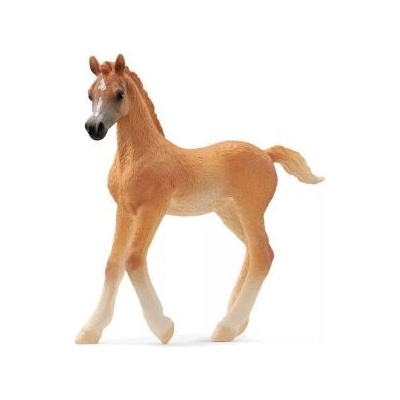 Schleich Horse Club: Фигурка на арабско жребче 13984