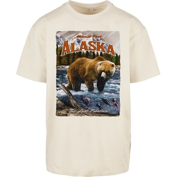 Image 1 of Mister Tee Мъжка тениска в пясъчен цвят Mister Tee Alaska VintageUB-MT1837-00208 - Пясъчен, размер XS