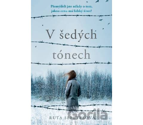 V šedých tónech