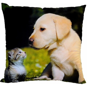 Dadka FotoVankúš Mačiatko a šteňa na tráve 40x40