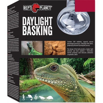 Repti Planet Daylight Basking Spot 50 W – Zboží Mobilmania