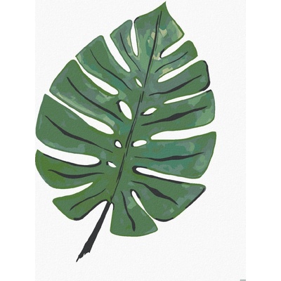 Zuty Malování Podle Čísel List Monstera Alexandria Gilbert 40 x 50 Cm Plátno