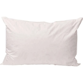 Image 1 of Png Панагюрище Възглавница Terra с гъши пух 50/70/12см бяло