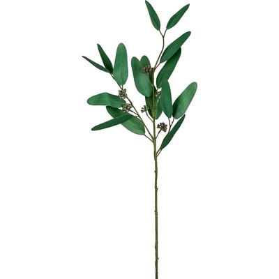 GASPER Eukalyptová větvička s plody 66 cm, šedá