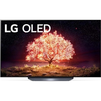 LG OLED55B13
