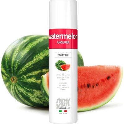 ODK FruityMix Vodní meloun Watermelon puree 0,75 l