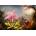 Bluebird Puzzle - Puzzle Martin Johnson Heade - Cattleya Orchid and Three Hummingbirds - 1 000 piese