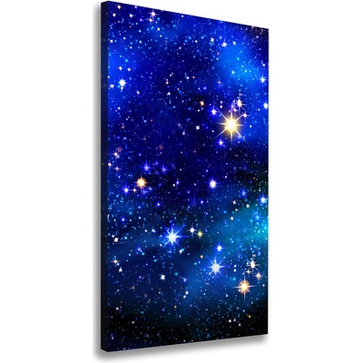 Vertikálny foto obraz na plátne Hviezdne nebo 50x100 cm