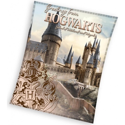 Carbotex Dětská mikroplyšová deka Harry Potter Bradavické Tajemství
