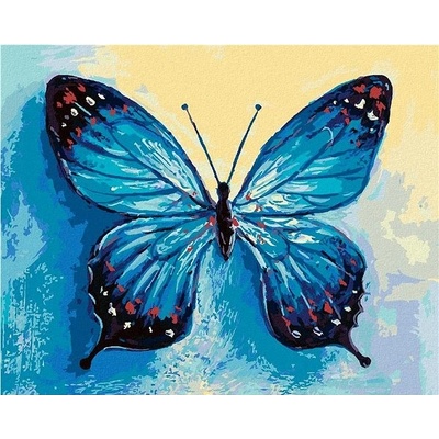 zuty Malování Podle Čísel Modrý Motýl 80 x 100 Cm Plátno